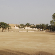 Sbandieratori Città de la Cava a Riyadh-3167