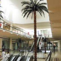 Sbandieratori Città de la Cava a Riyadh-4037